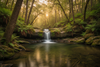 Welcome to Rooted Within Wellness: Healing From the Inside Out